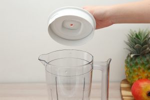 Máy xay sinh tố đa năng Philips HR2041/10