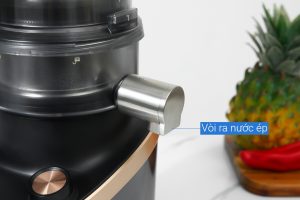 Máy xay sinh tố đa năng Philips HR3770/00