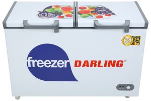 Tủ đông Darling 260 lít DMF-3999W2