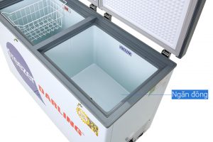 Tủ đông Darling 260 lít DMF-3999W2