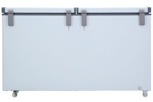 Tủ đông Darling Inverter 360 lít DMF-4799ASI