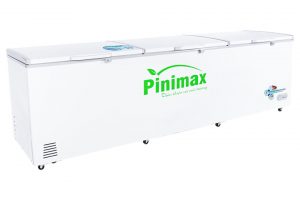 Tủ đông Pinimax 1300 lít PNM 139AF