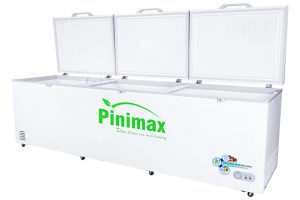 Tủ đông Pinimax 1300 lít PNM 139AF