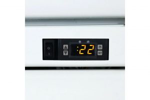 Tủ đông đứng Alaska 700 lít IF 700G2