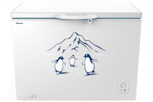 Tủ đông Hisense 300 lít FC380D4EWC1